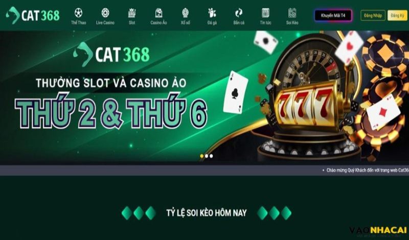 Khái quát vài nét về Casino Cat368