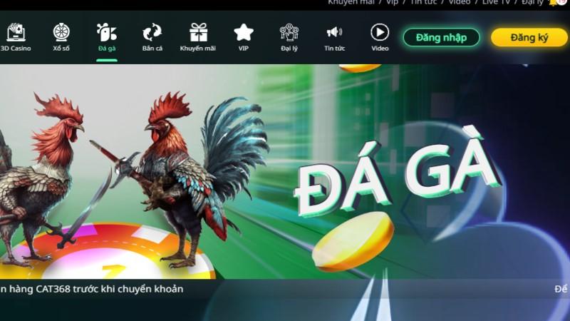 Kinh nghiệm chơi đá gà chuẩn như cao thủ