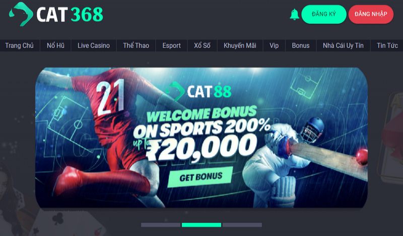 Khái quát vài nét về Cat368