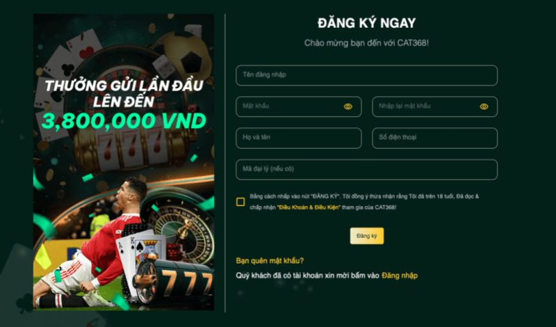 Đăng ký tài khoản Cat368
