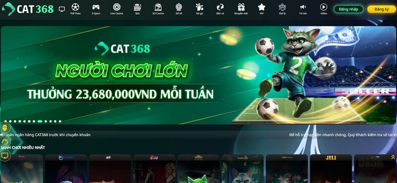 Chính sách bảo mật Cat368