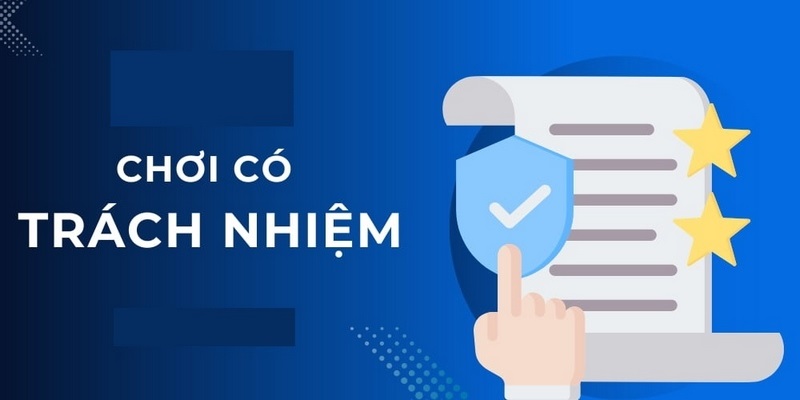 Khái quát về trách nhiệm của thành viên