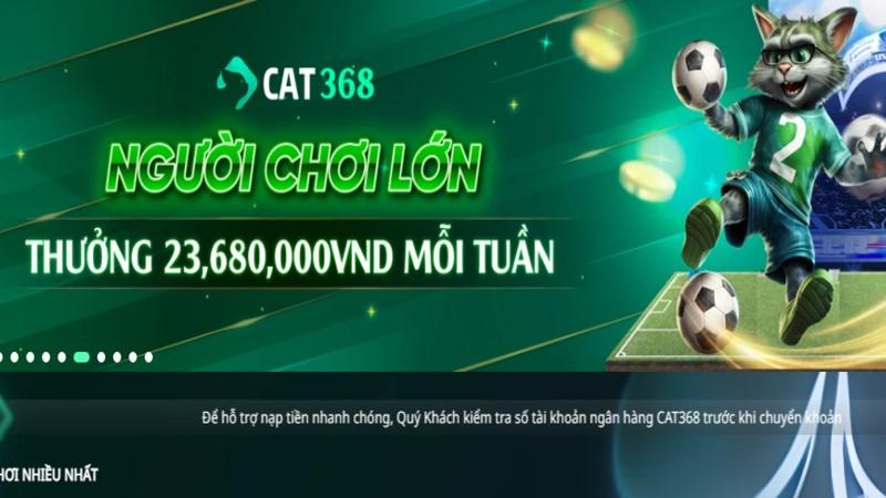 Lưu ý quan trọng khi tải app Cat368 cần biết