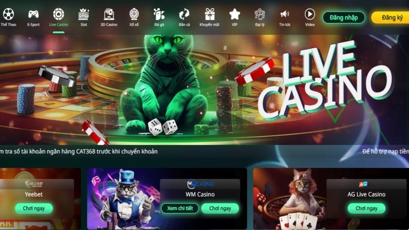 Một số câu hỏi liên quan đến việc tải app Cat368